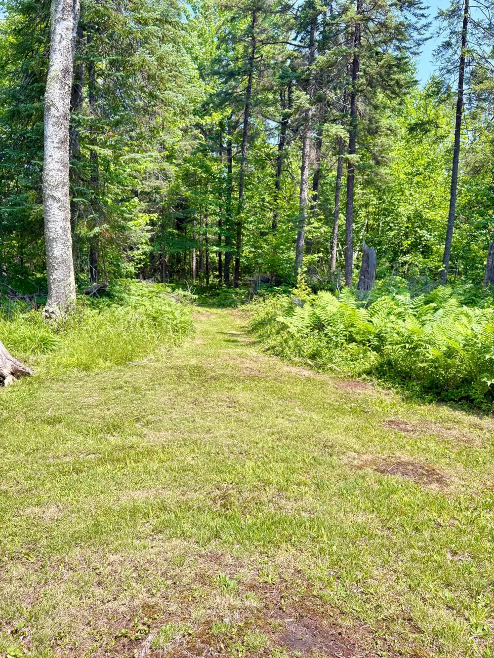2594 County Road 8 Barnum, MN 55707