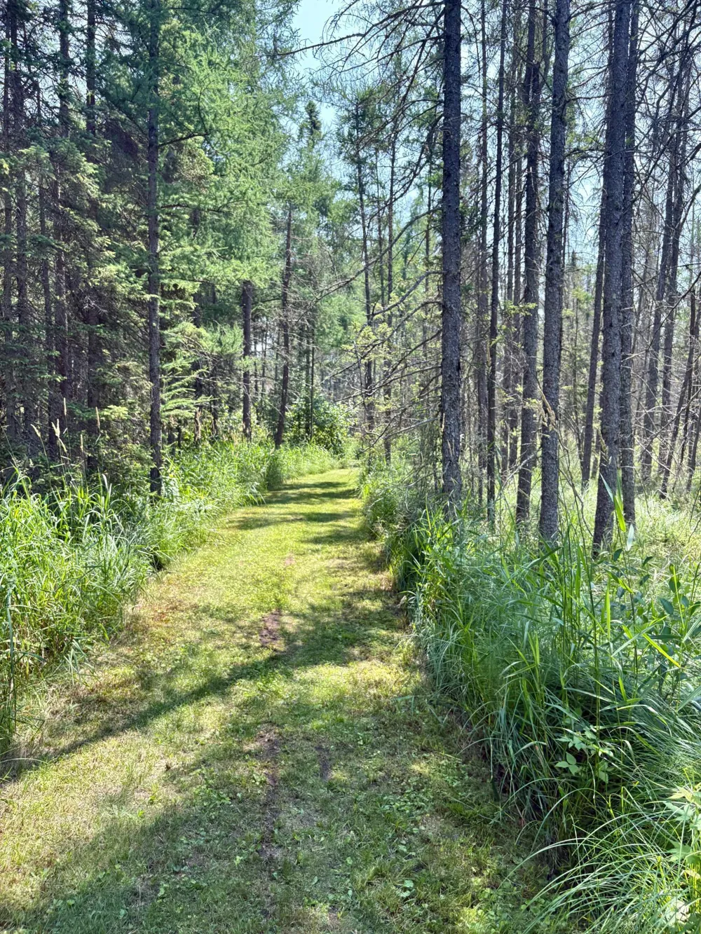 2594 County Road 8 Barnum, MN 55707