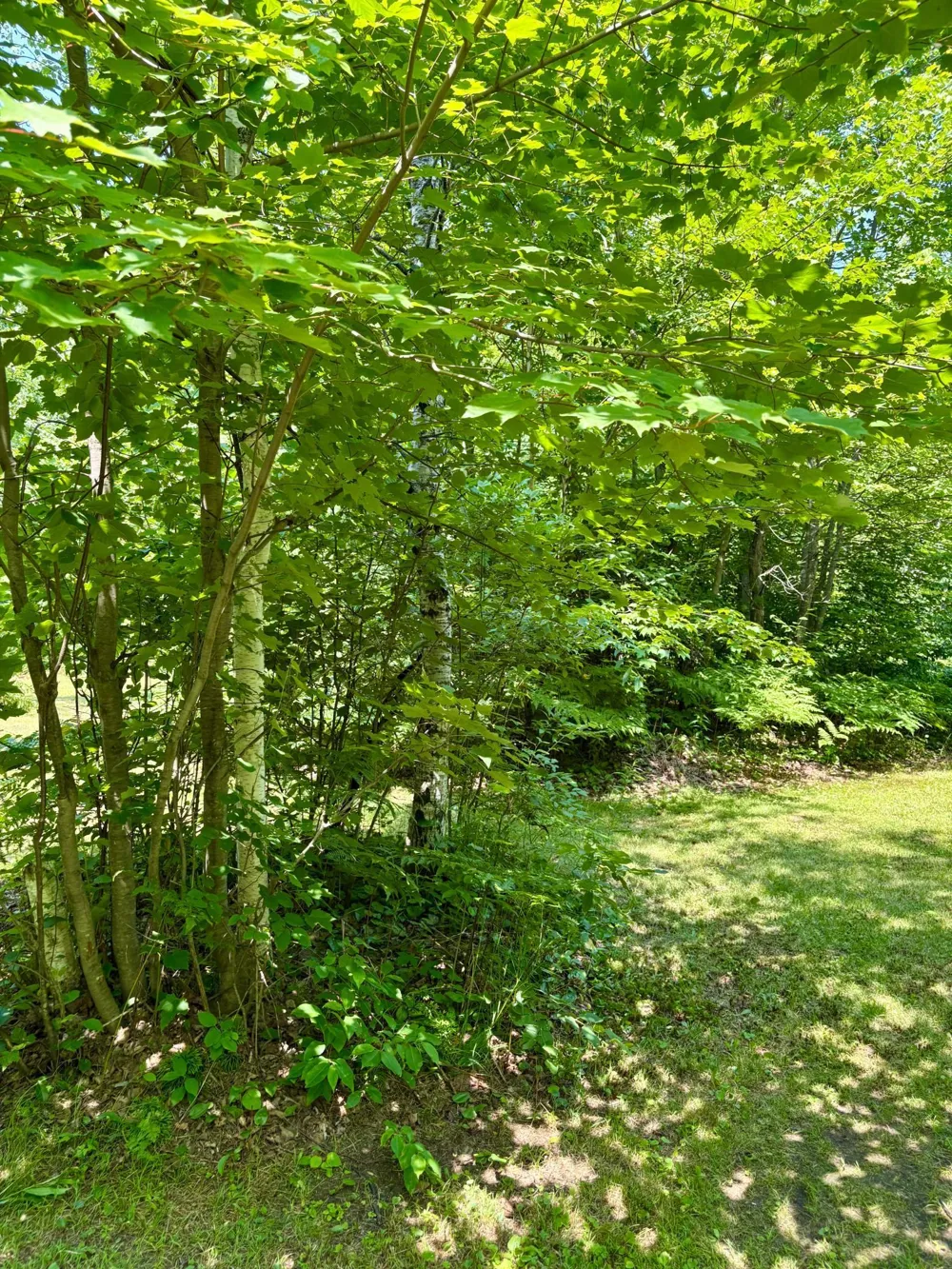 2594 County Road 8 Barnum, MN 55707