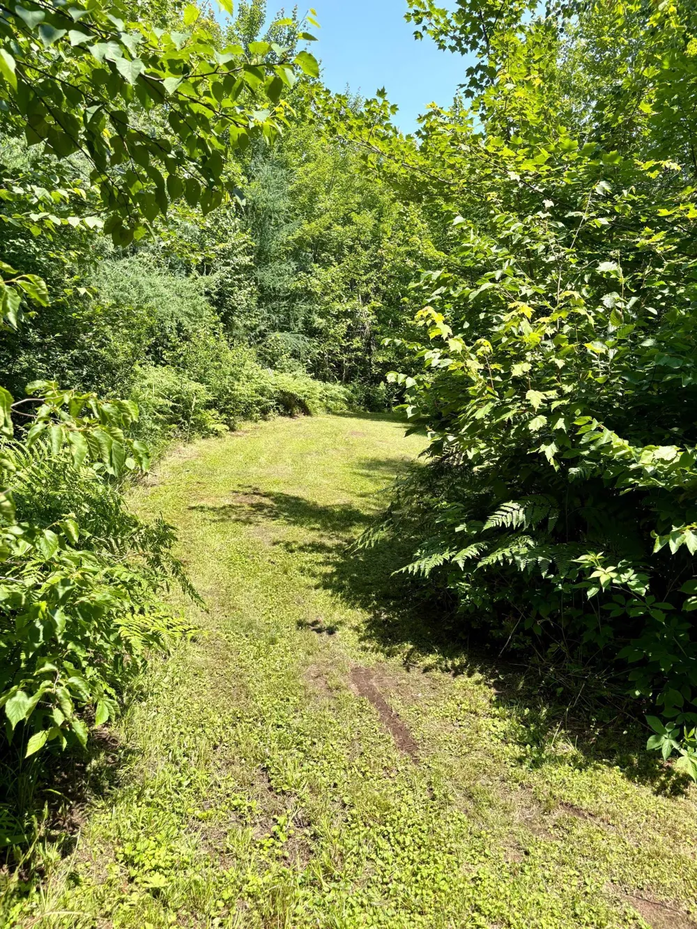 2594 County Road 8 Barnum, MN 55707