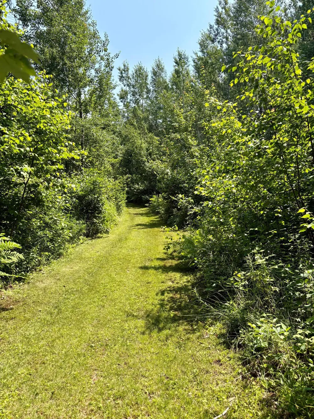 2594 County Road 8 Barnum, MN 55707