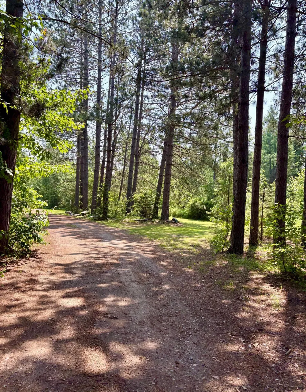 2594 County Road 8 Barnum, MN 55707