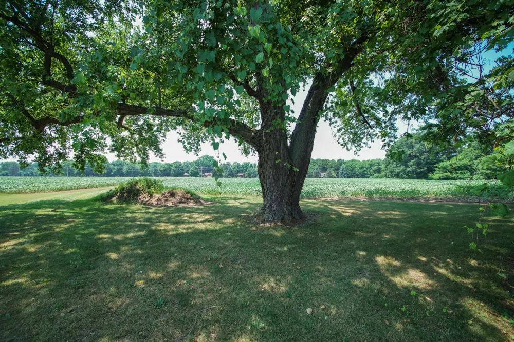 4478 M-139 St. Joseph, MI 49085