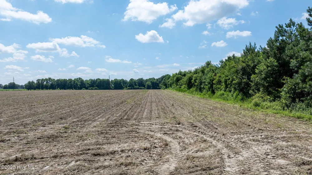 000 Oberry Road Dudley, NC 28333