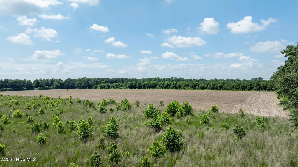 000 Oberry Road Dudley, NC 28333