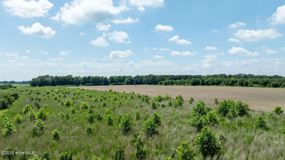 000 Oberry Road Dudley, NC 28333