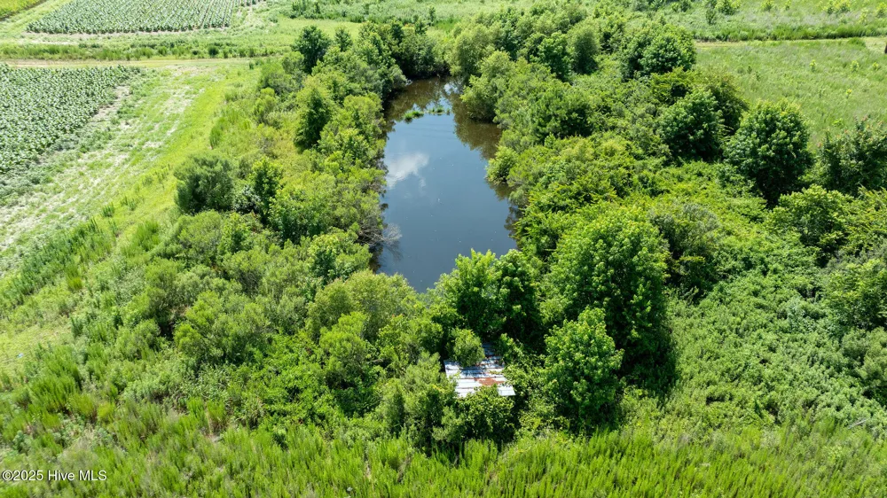 000 Oberry Road Dudley, NC 28333