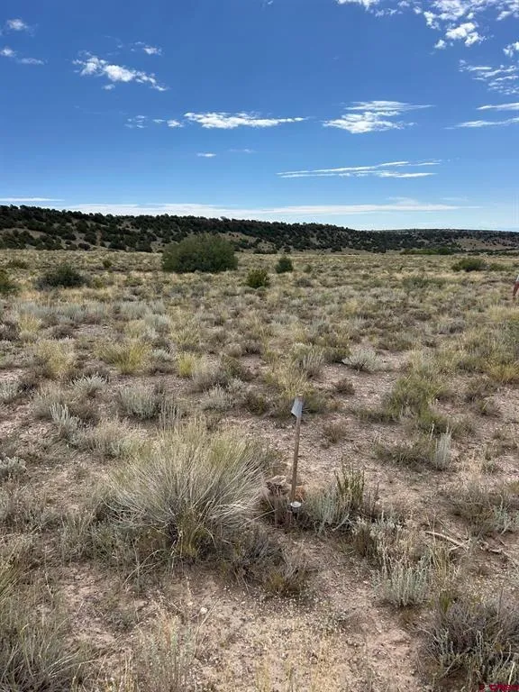 TBD La Jara, CO 81140