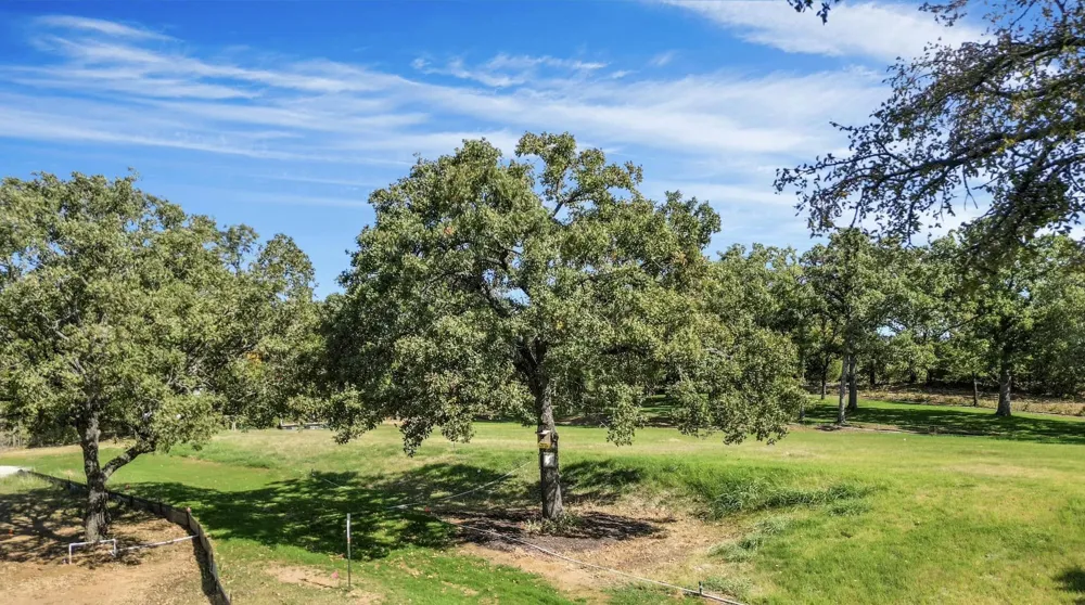 9897 Macaway Drive Argyle, TX 76226