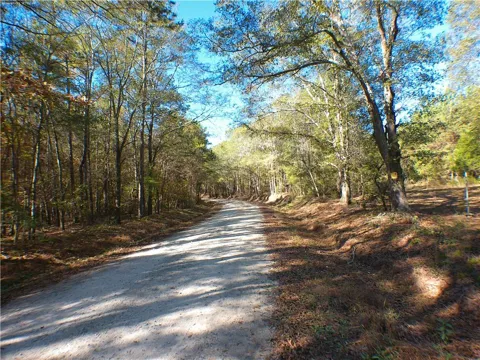0 Dusty Road