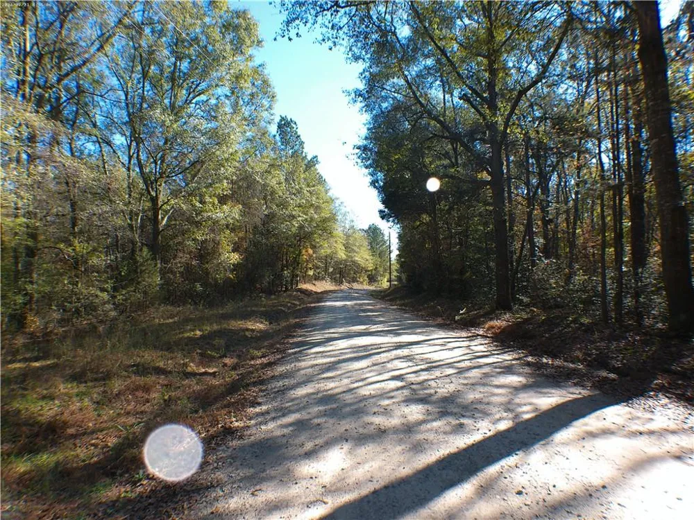 0 Dusty Road Bowman, GA 30624