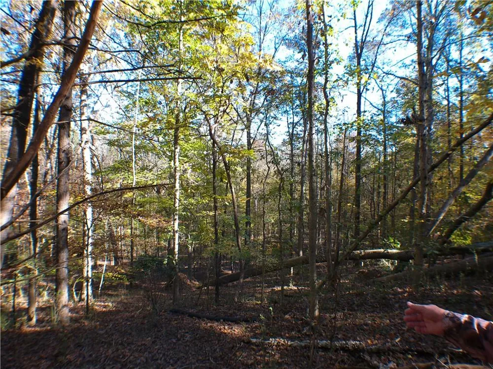 0 Dusty Road Bowman, GA 30624