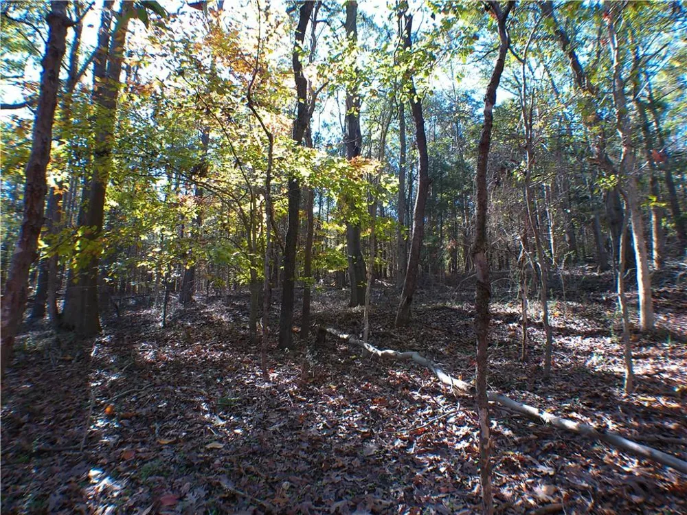 0 Dusty Road Bowman, GA 30624