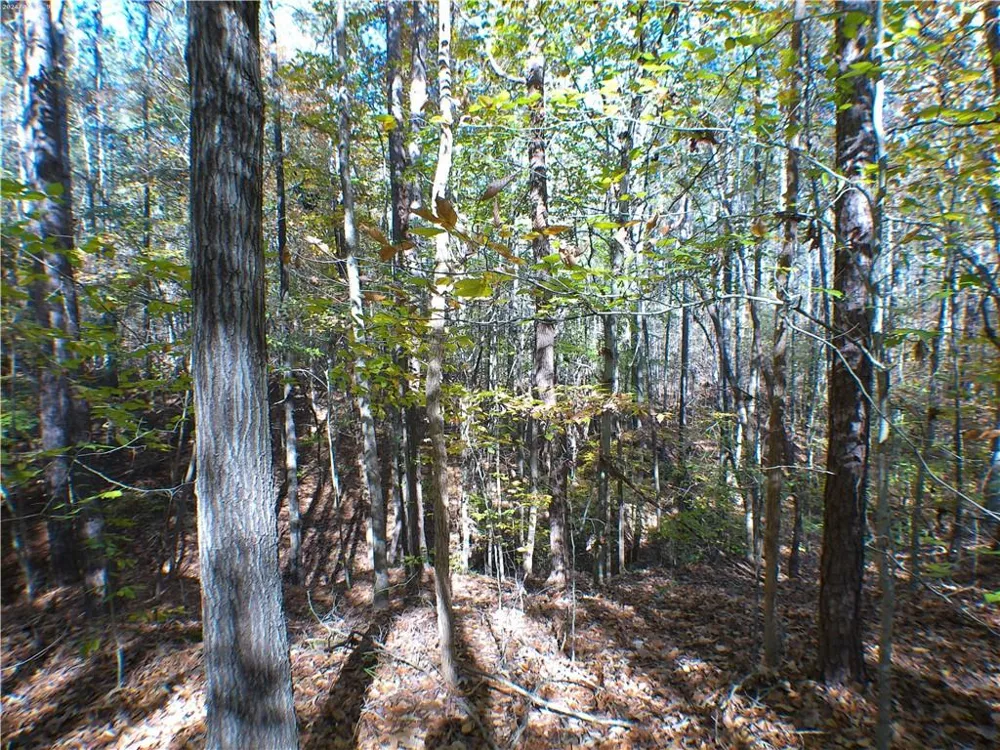 0 Dusty Road Bowman, GA 30624