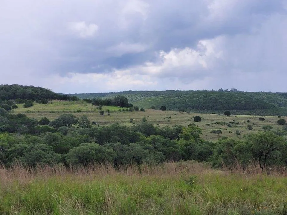 1395 Mountain Creek Road Marble Falls, TX 78654