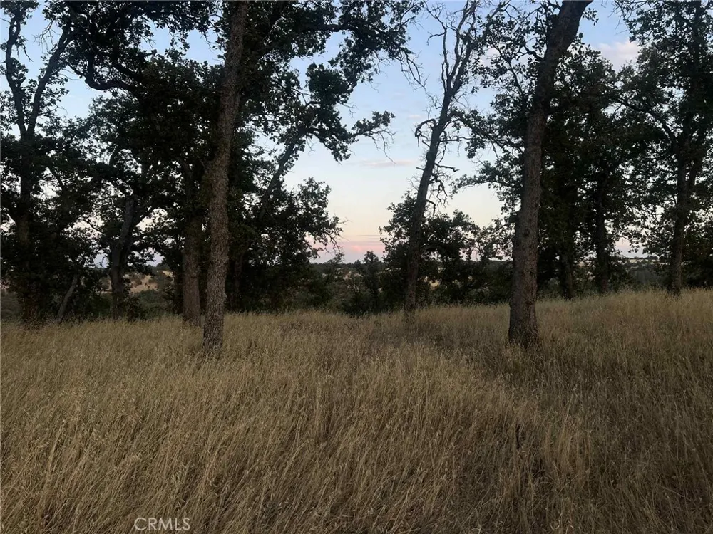 6915 Remunda Road Corning, CA 96021