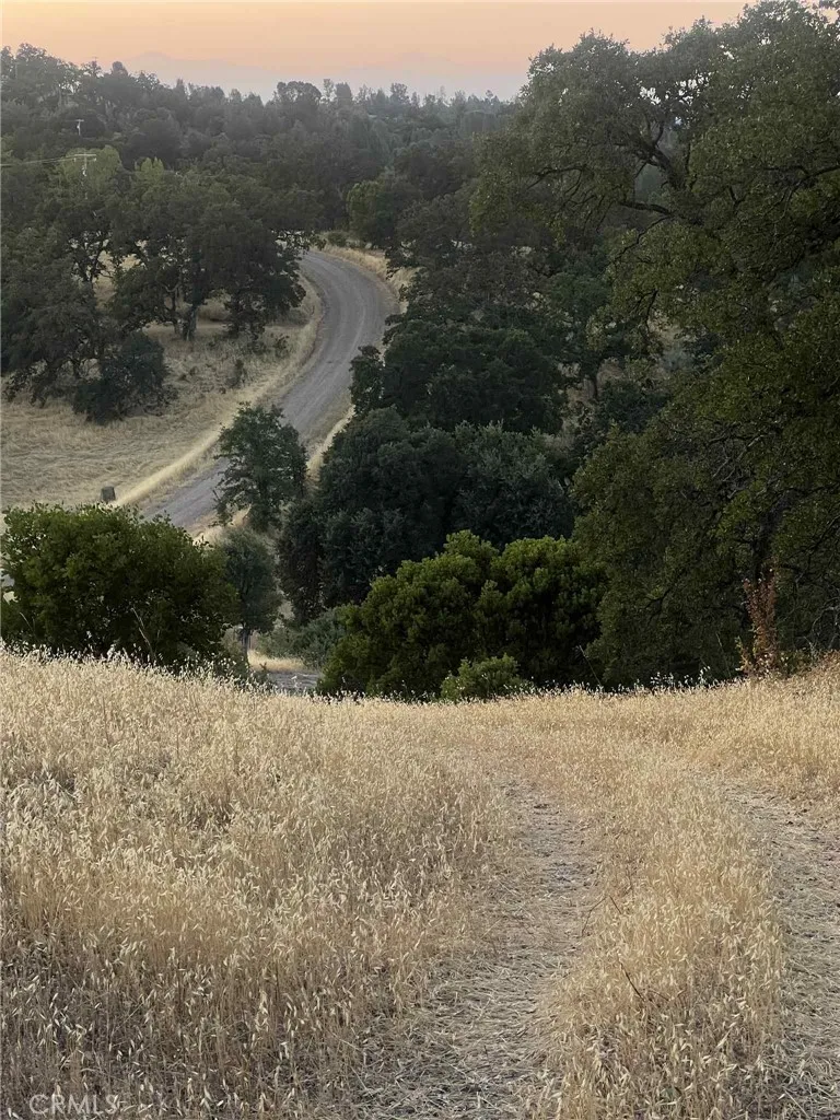 6915 Remunda Road Corning, CA 96021