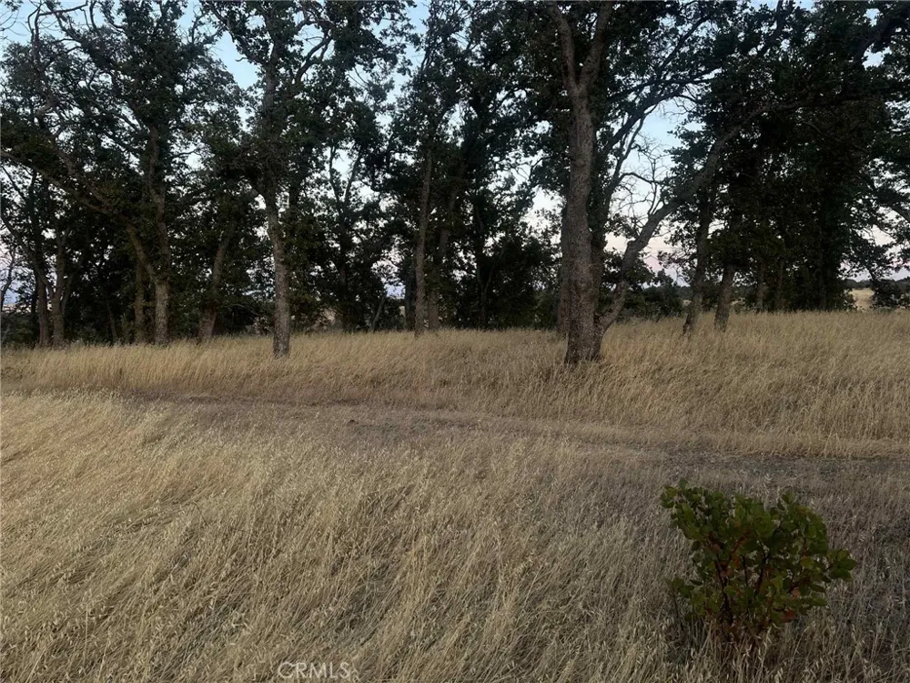 6915 Remunda Road Corning, CA 96021