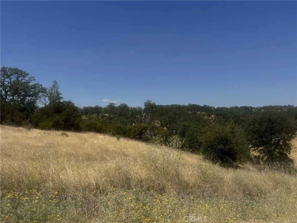 6915 Remunda Road Corning, CA 96021