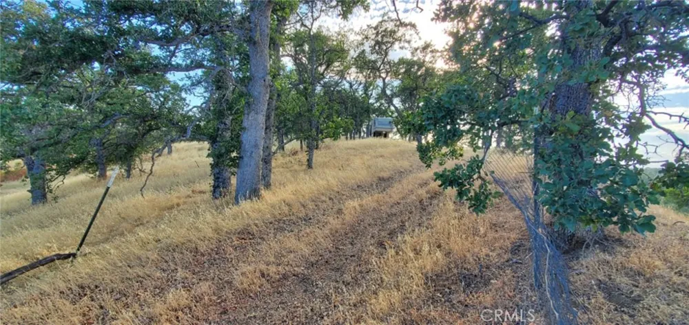6915 Remunda Road Corning, CA 96021