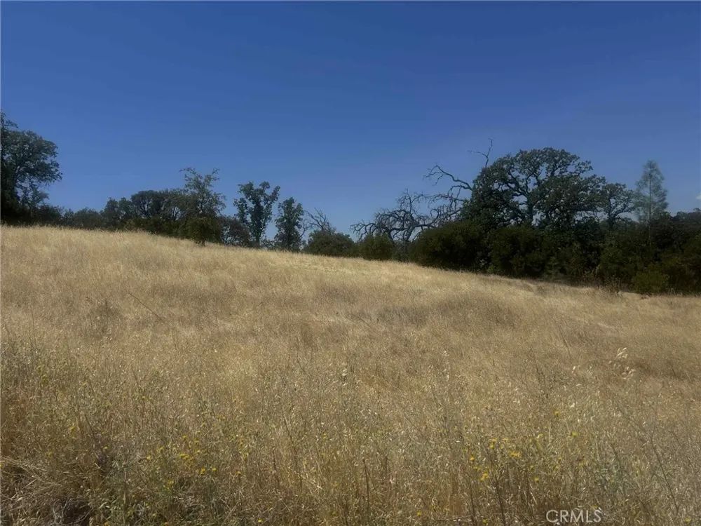 6915 Remunda Road Corning, CA 96021