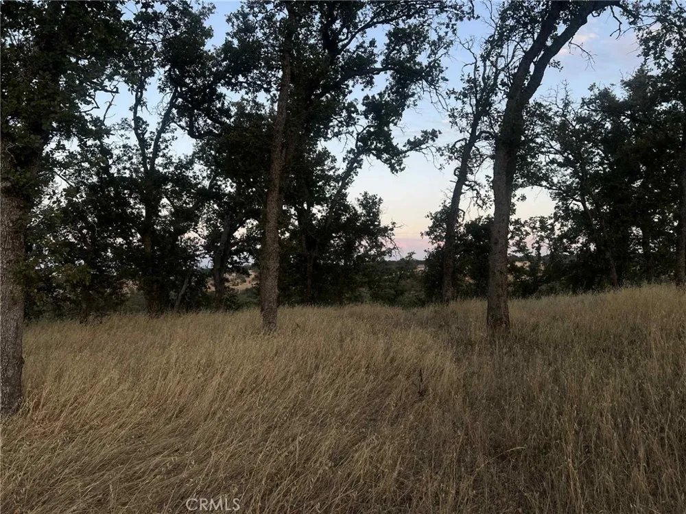 6915 Remunda Road Corning, CA 96021