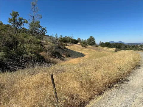 22017 No Guns Road