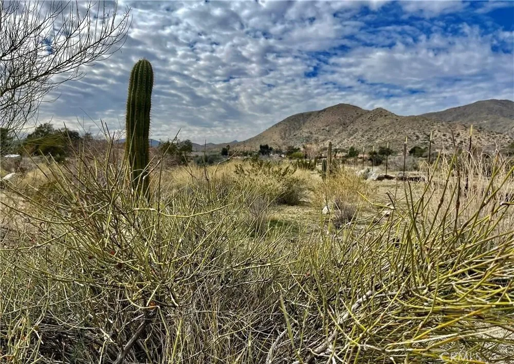 11040 Mescalero Avenue Morongo Valley, CA 92256