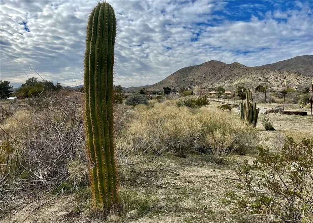 11040 Mescalero Avenue Morongo Valley, CA 92256