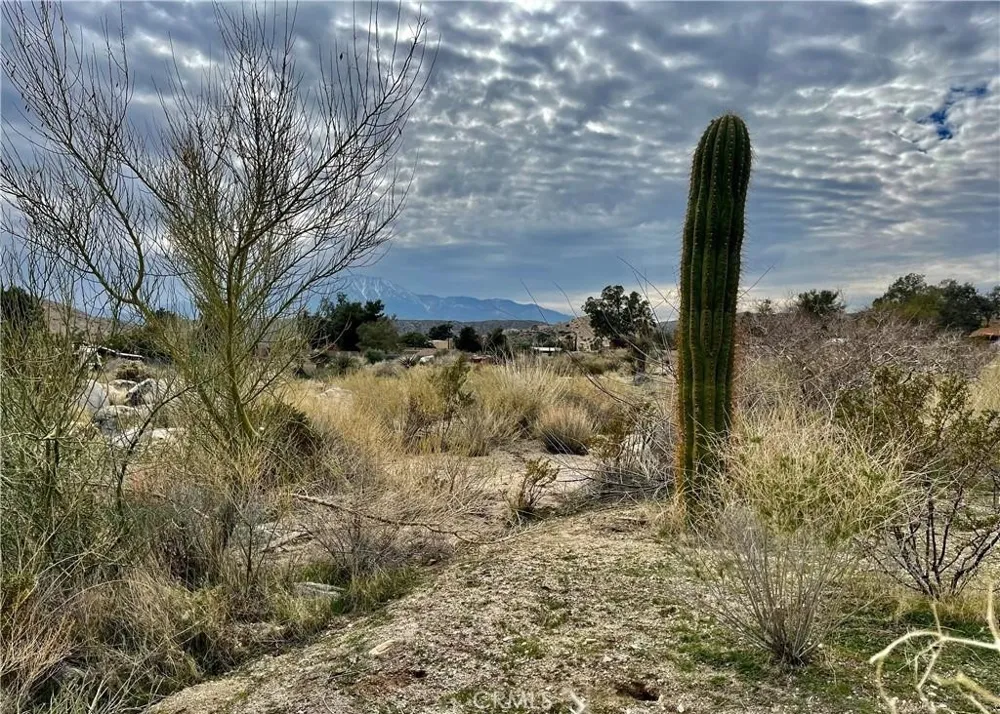 11040 Mescalero Avenue Morongo Valley, CA 92256