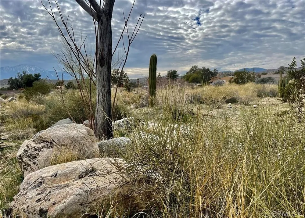 11040 Mescalero Avenue Morongo Valley, CA 92256