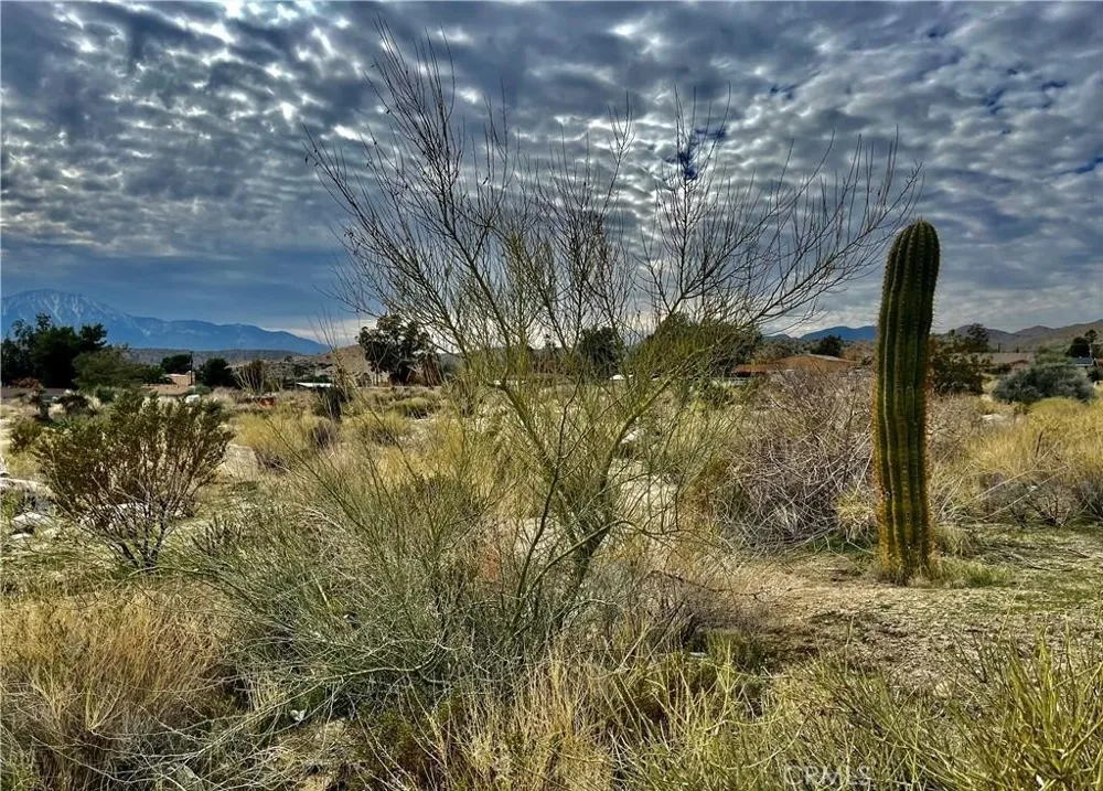 11040 Mescalero Avenue Morongo Valley, CA 92256
