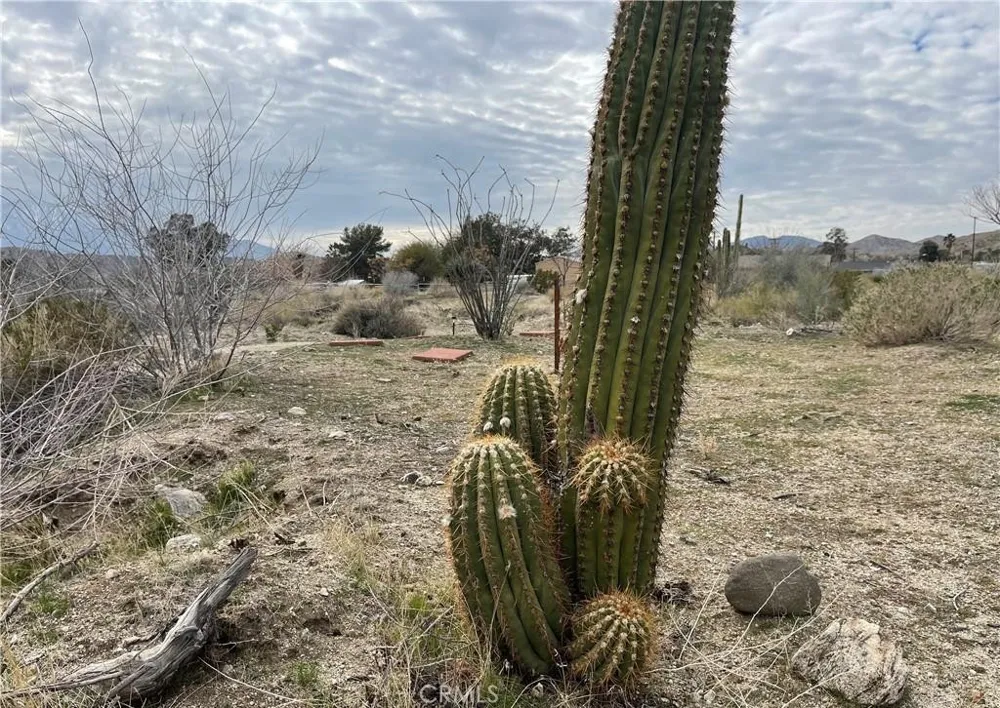 11040 Mescalero Avenue Morongo Valley, CA 92256