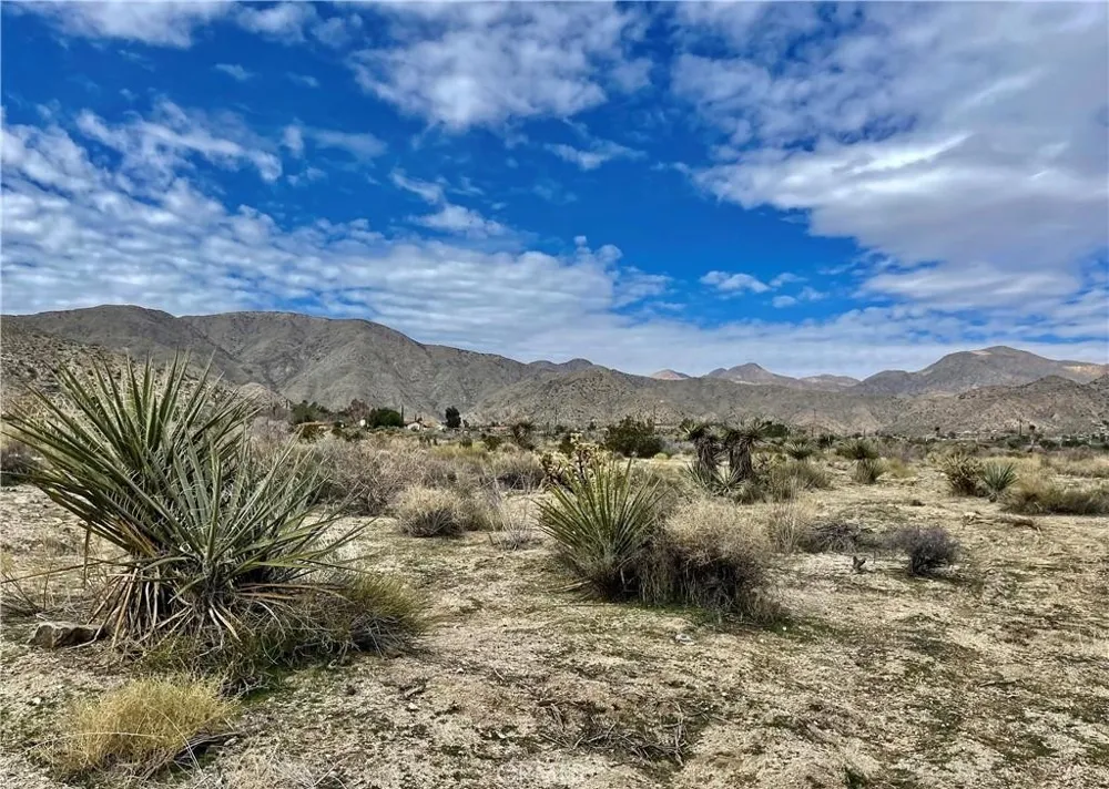 11040 Mescalero Avenue Morongo Valley, CA 92256