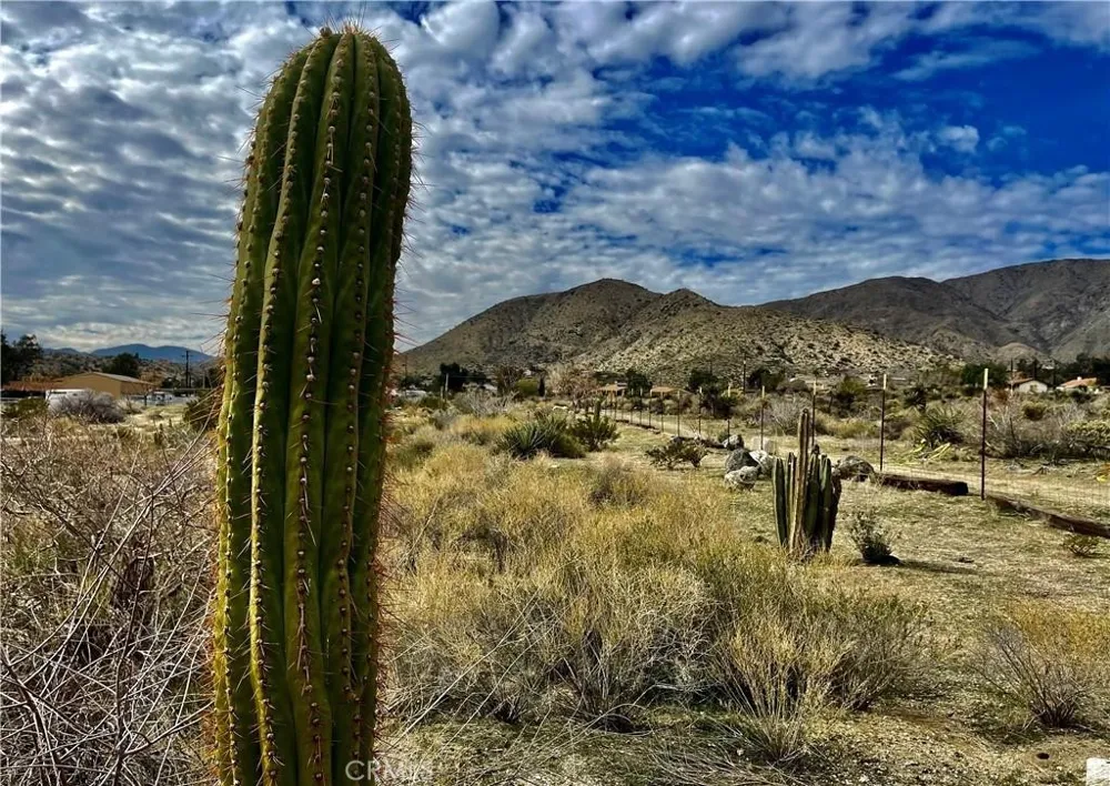 11040 Mescalero Avenue Morongo Valley, CA 92256