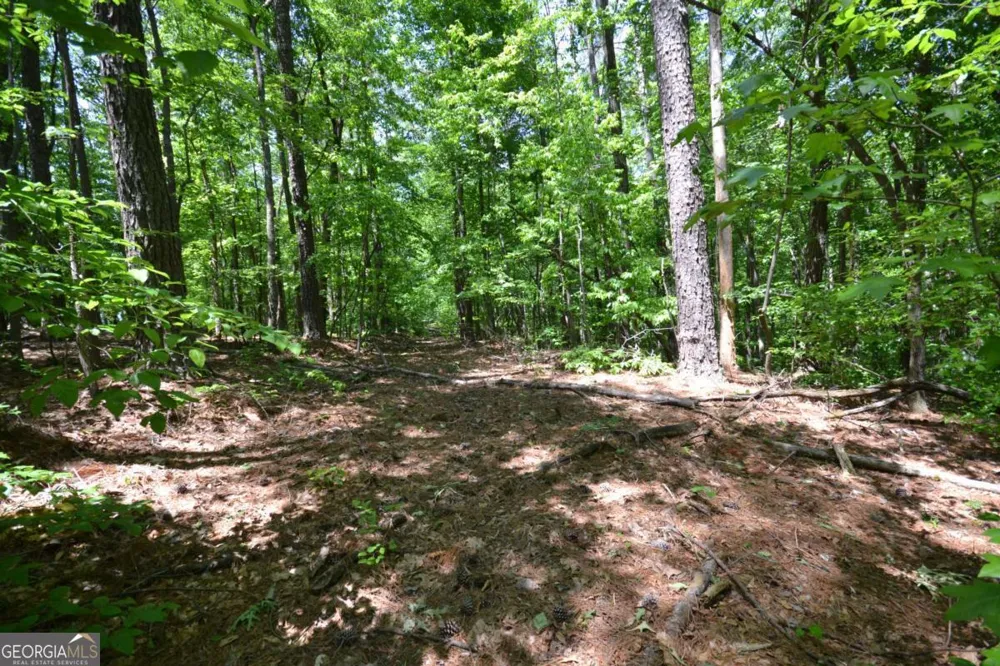 5960 Georgia Highway 120 Buchanan, GA 30113
