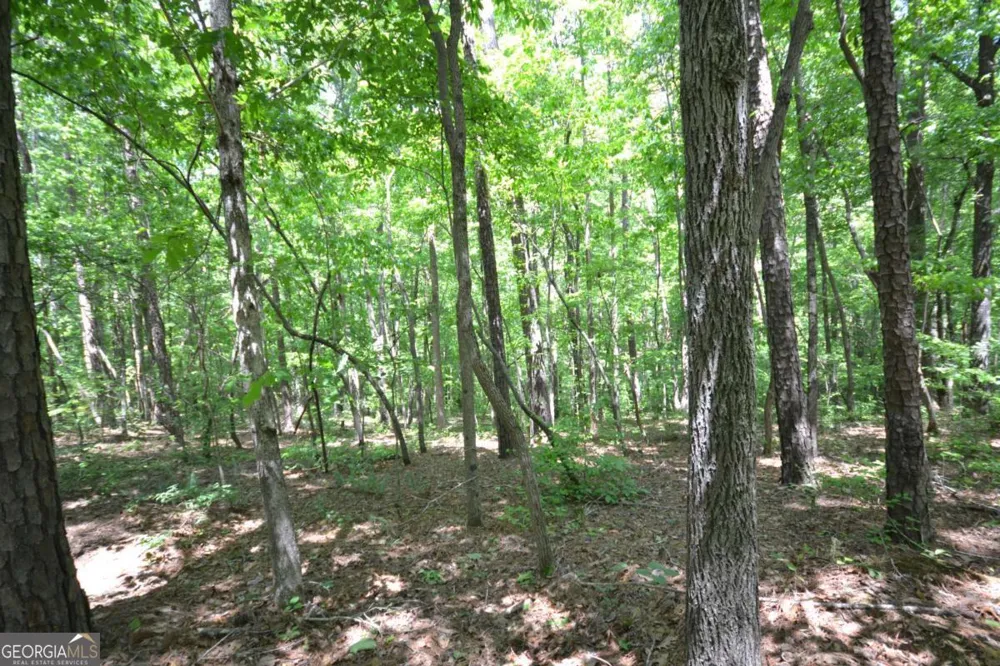 5960 Georgia Highway 120 Buchanan, GA 30113