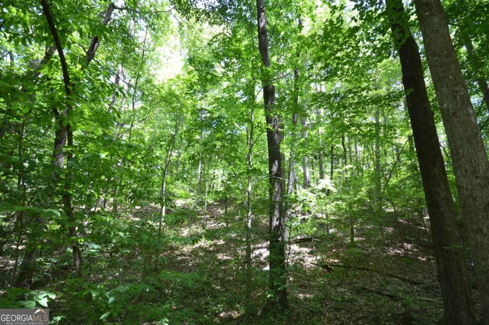 5960 Georgia Highway 120 Buchanan, GA 30113
