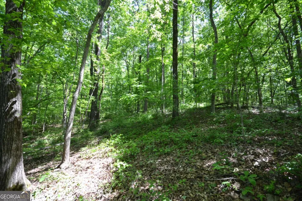 5960 Georgia Highway 120 Buchanan, GA 30113