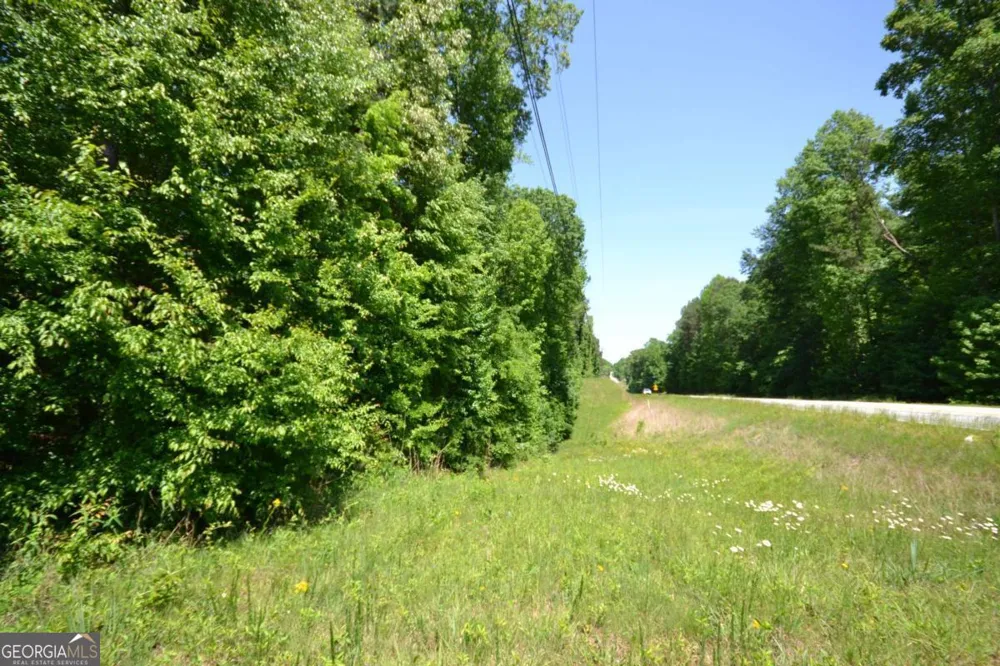 5960 Georgia Highway 120 Buchanan, GA 30113