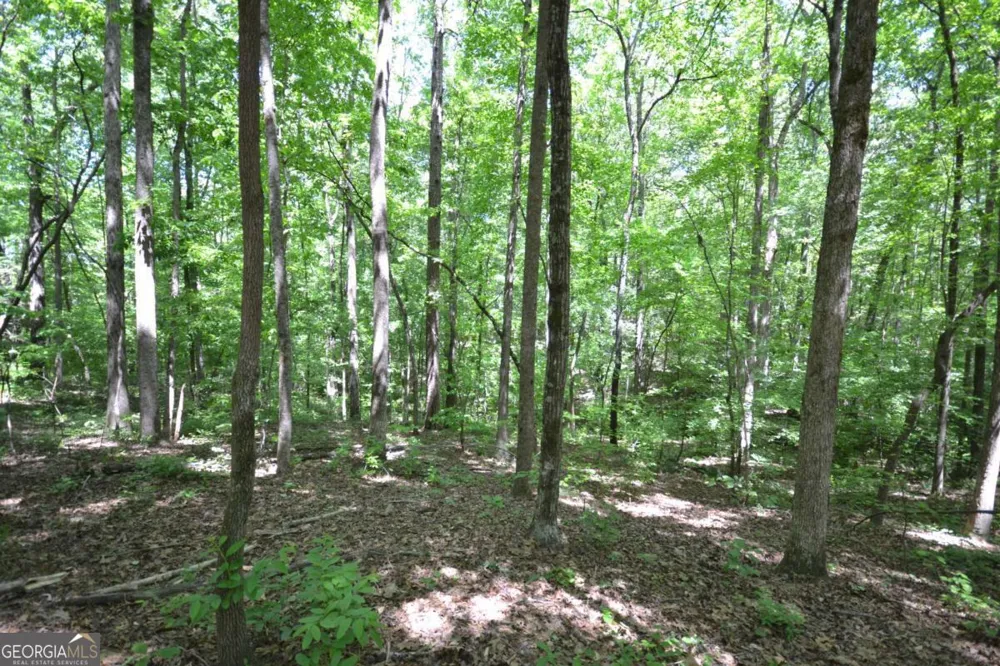 5960 Georgia Highway 120 Buchanan, GA 30113