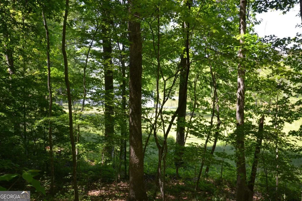 5960 Georgia Highway 120 Buchanan, GA 30113