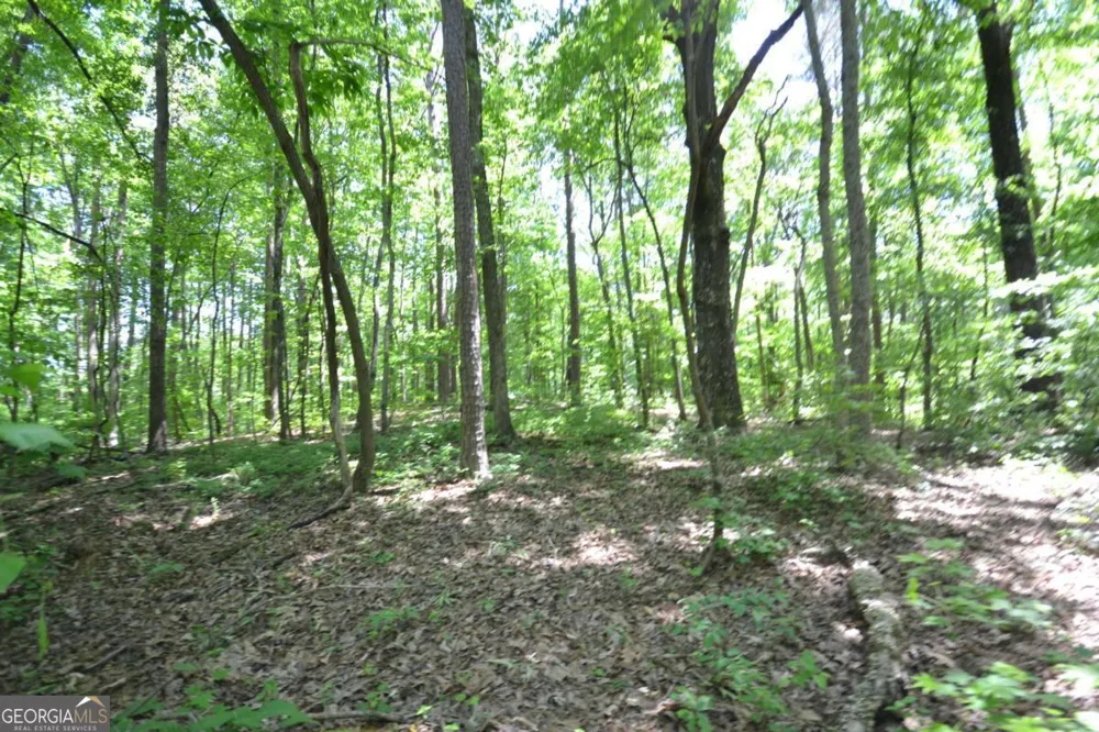 5960 Georgia Highway 120 Buchanan, GA 30113