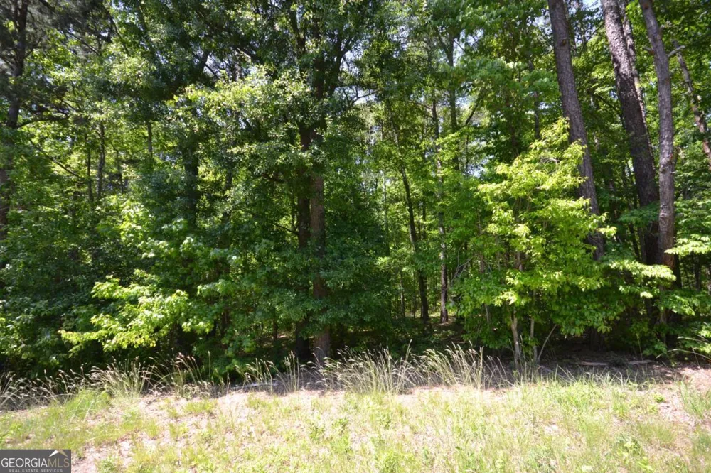 5960 Georgia Highway 120 Buchanan, GA 30113