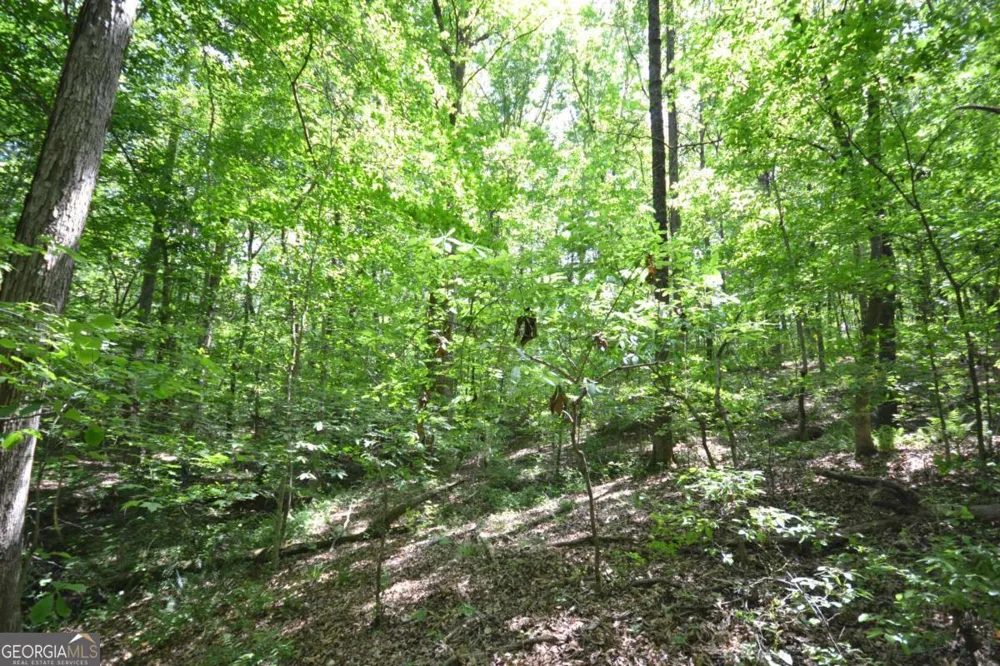 5960 Georgia Highway 120 Buchanan, GA 30113