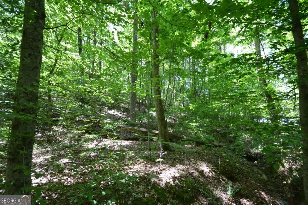 5960 Georgia Highway 120 Buchanan, GA 30113