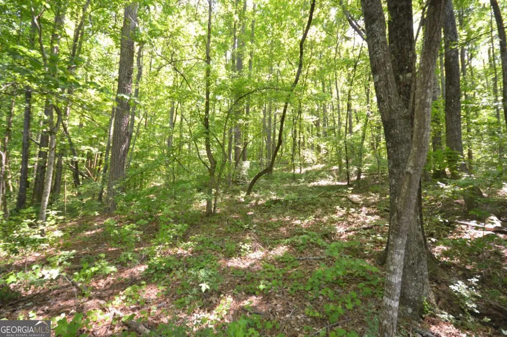 5960 Georgia Highway 120 Buchanan, GA 30113
