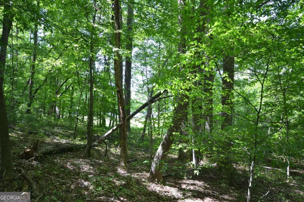 5960 Georgia Highway 120 Buchanan, GA 30113