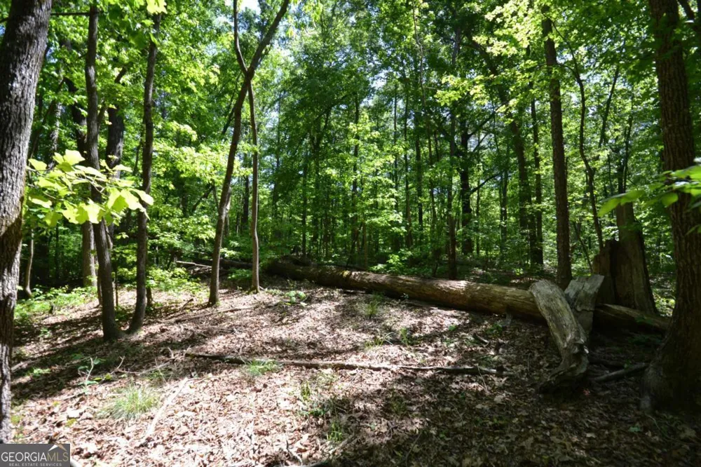 5960 Georgia Highway 120 Buchanan, GA 30113