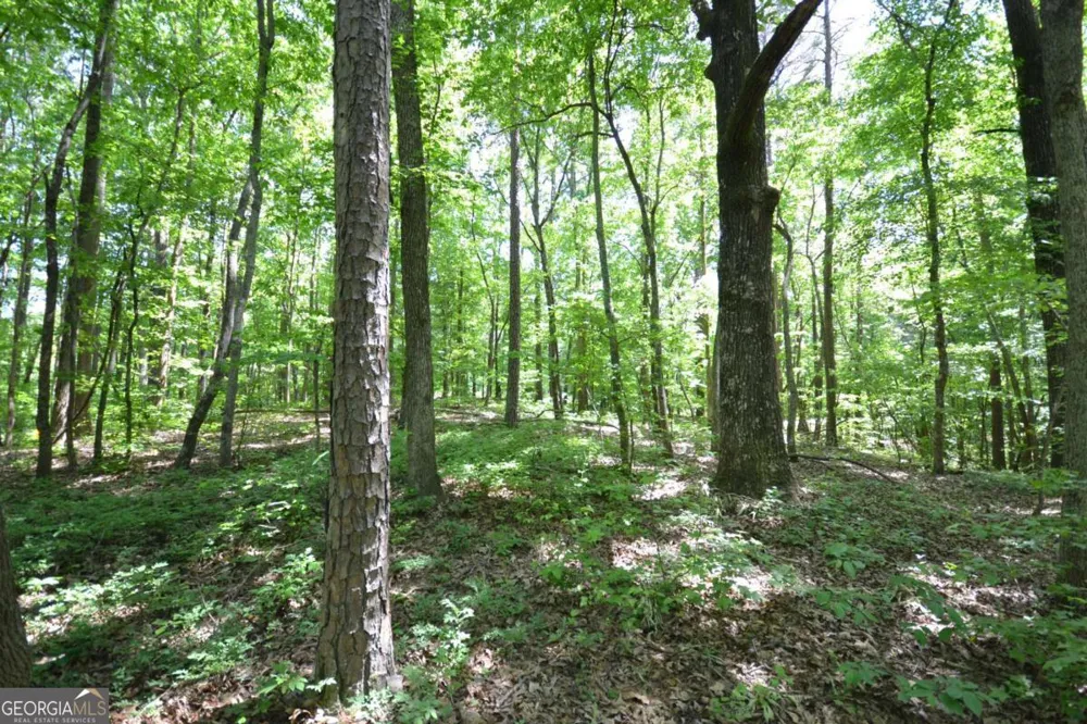 5960 Georgia Highway 120 Buchanan, GA 30113